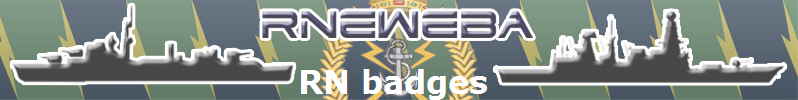 RN badges 