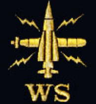 Warfare Specialist